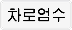 차로엄수.jpg